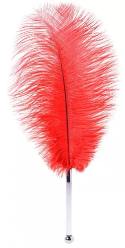 Красное страусиное пёрышко - 40 см.