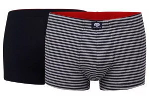 Набор из 2 синих трусов-боксеров - однотонных и в серую полоску